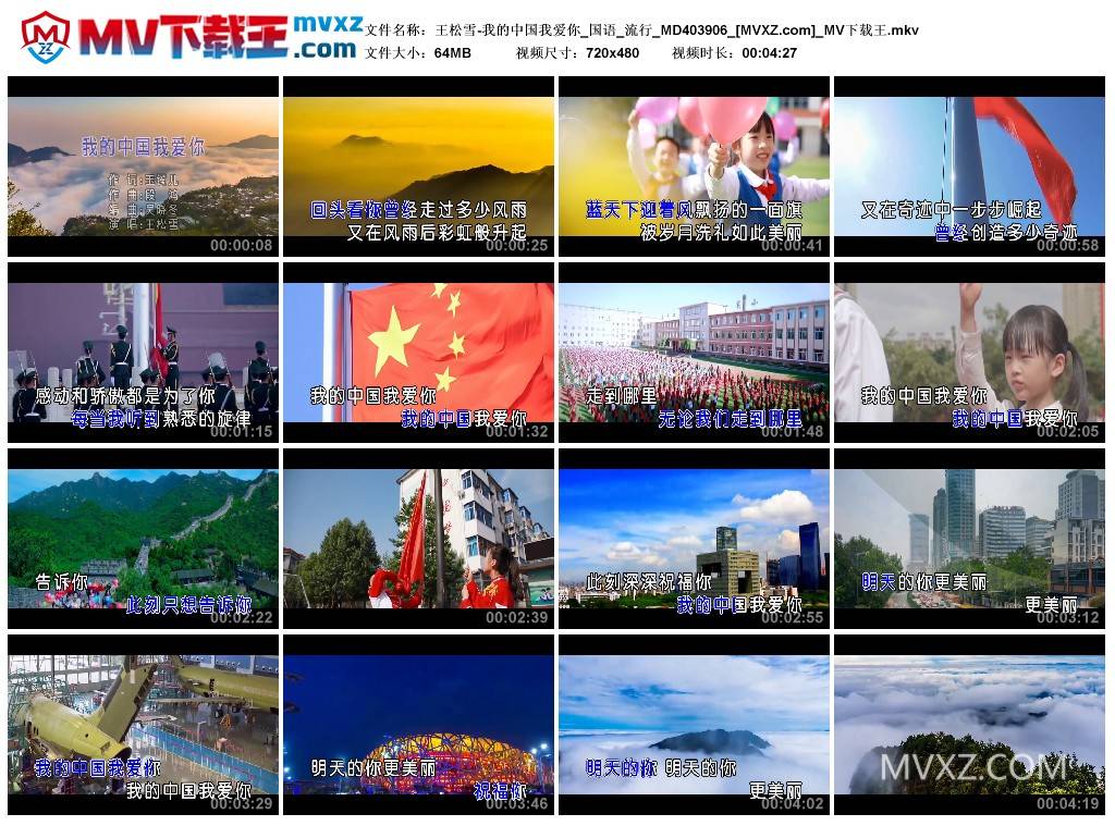 王松雪-我的中国我爱你_国语_流行_MD403906